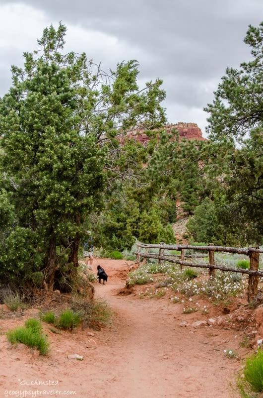 Timber & Tin D 2Bed 2Bath W Pool & Rooftop Deck Kanab Exterior foto